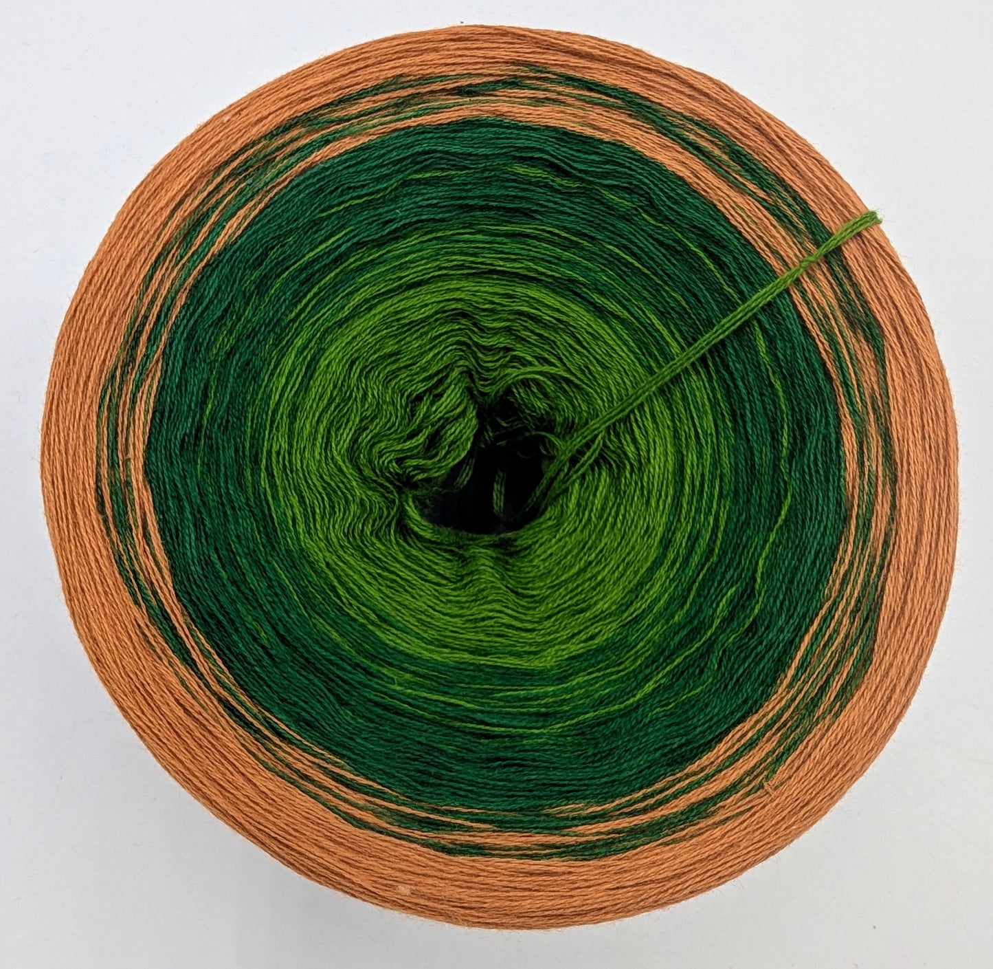 Autumn Morning - limited edition