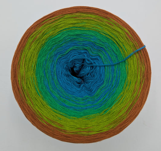 MotMot - Limited Edition