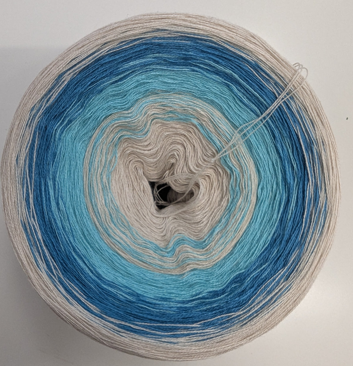 Muschelhorn