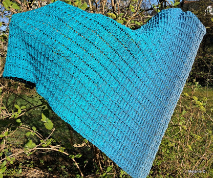 Saam asymmetrisch