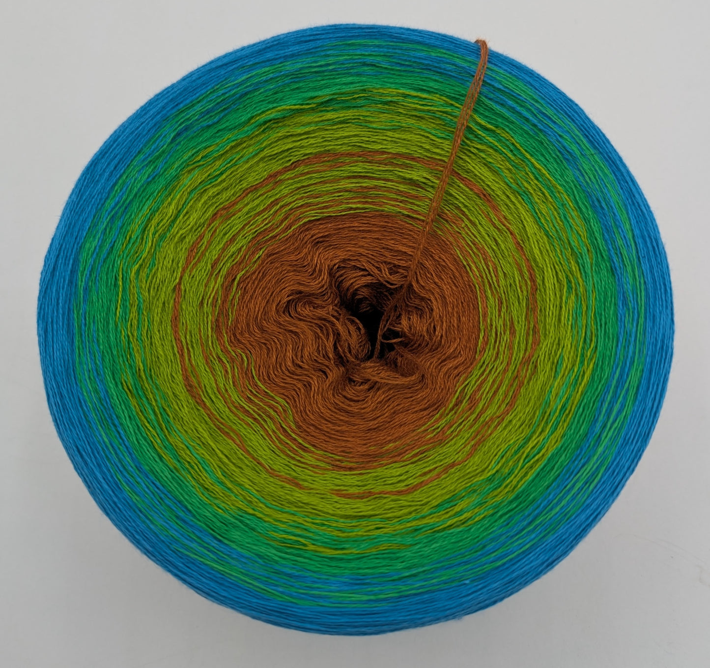 MotMot inside out Limited Edition