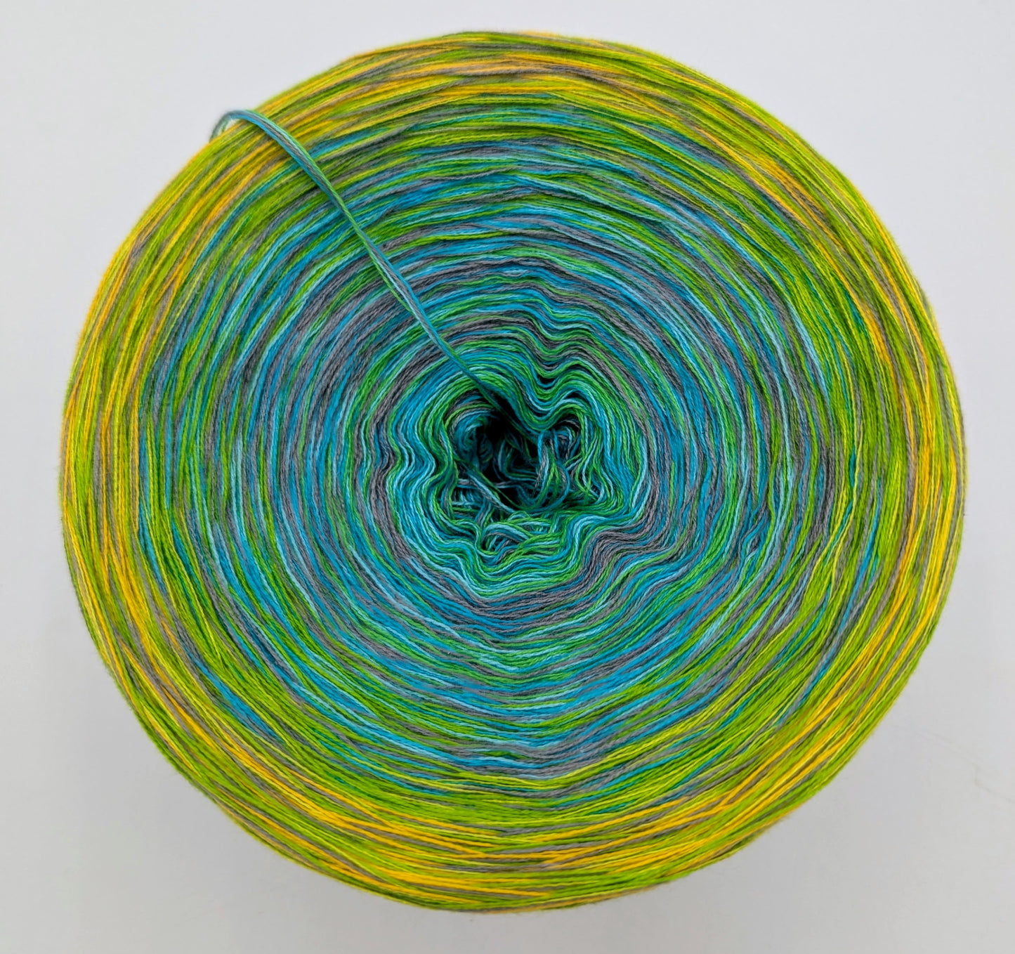 Narri Narro- Fasching 2026