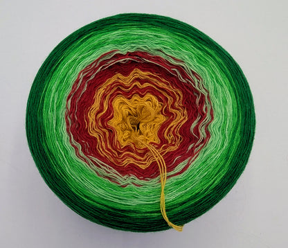 MD Tulip