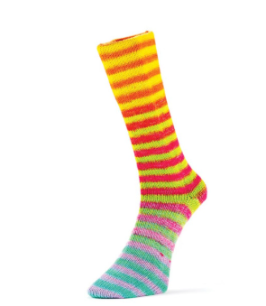 Laines du Nord Paint Socks 6fach