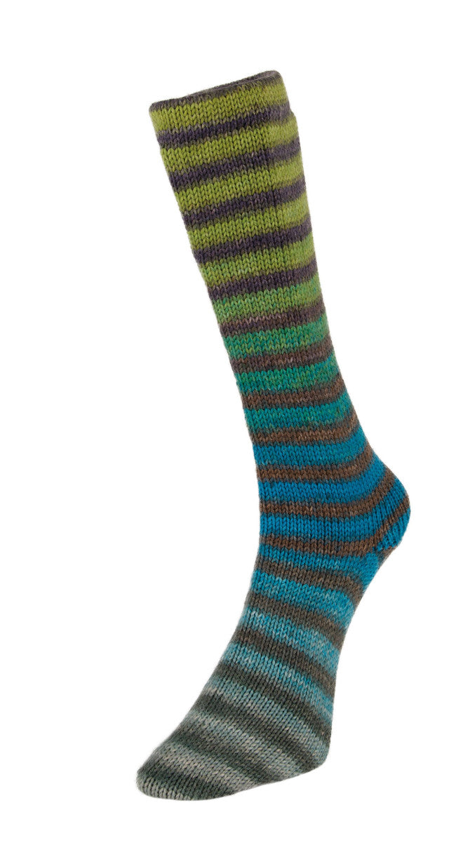 Laines du Nord Paint Socks 6fach