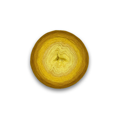 Sonnenblume